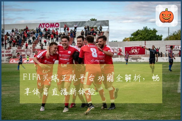 FIFA买球正规平台功能全解析，畅享体育直播新体验