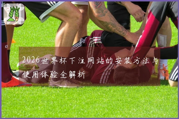 2026世界杯下注网站的安装方法与使用体验全解析