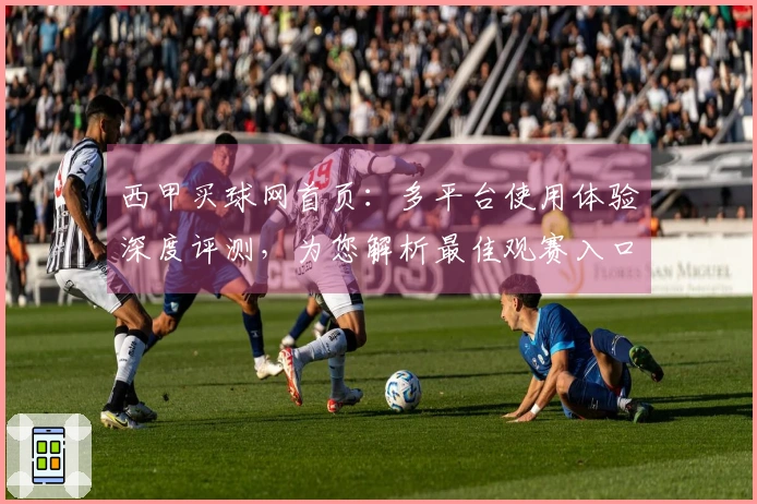西甲买球网首页：多平台使用体验深度评测，为您解析最佳观赛入口