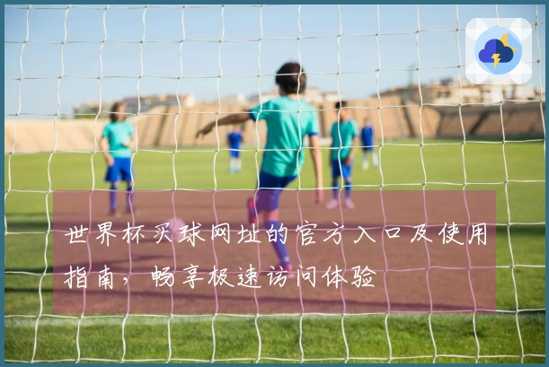 世界杯买球网址的官方入口及使用指南，畅享极速访问体验