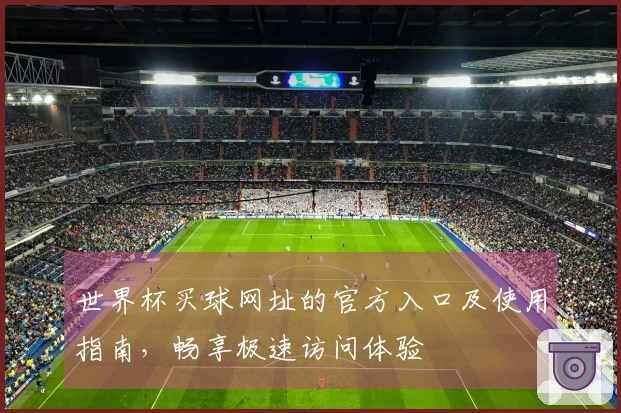 世界杯买球网址的官方入口及使用指南，畅享极速访问体验