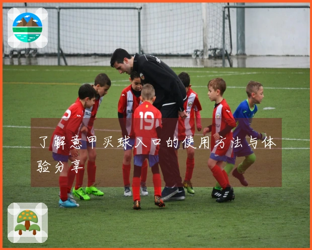 了解意甲买球入口的使用方法与体验分享