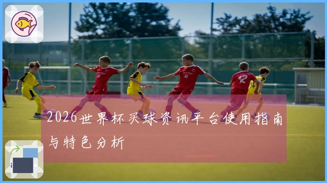 2026世界杯买球资讯平台使用指南与特色分析