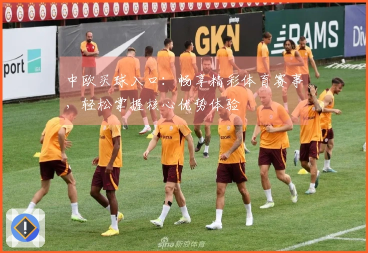 中欧买球入口：畅享精彩体育赛事，轻松掌握核心优势体验