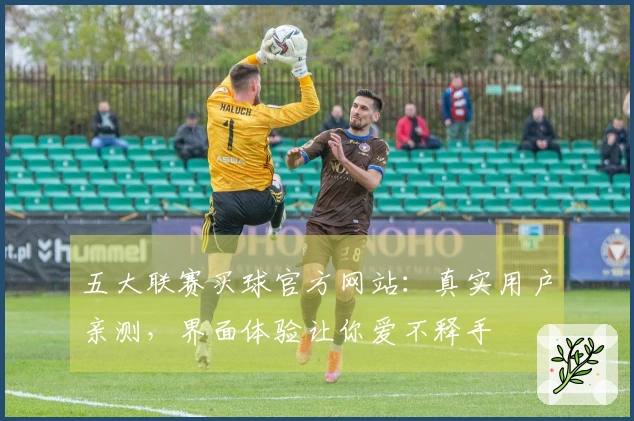 五大联赛买球官方网站：真实用户亲测，界面体验让你爱不释手